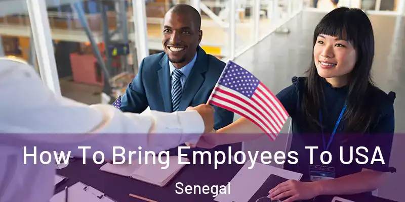  How To Bring Employees To USA Senegal